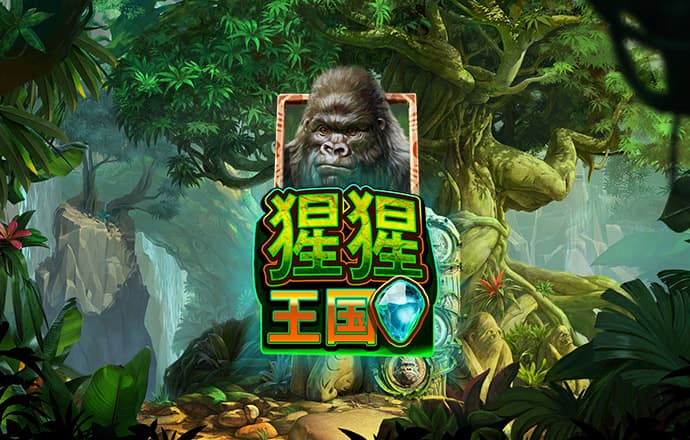 赛酷体育官网app